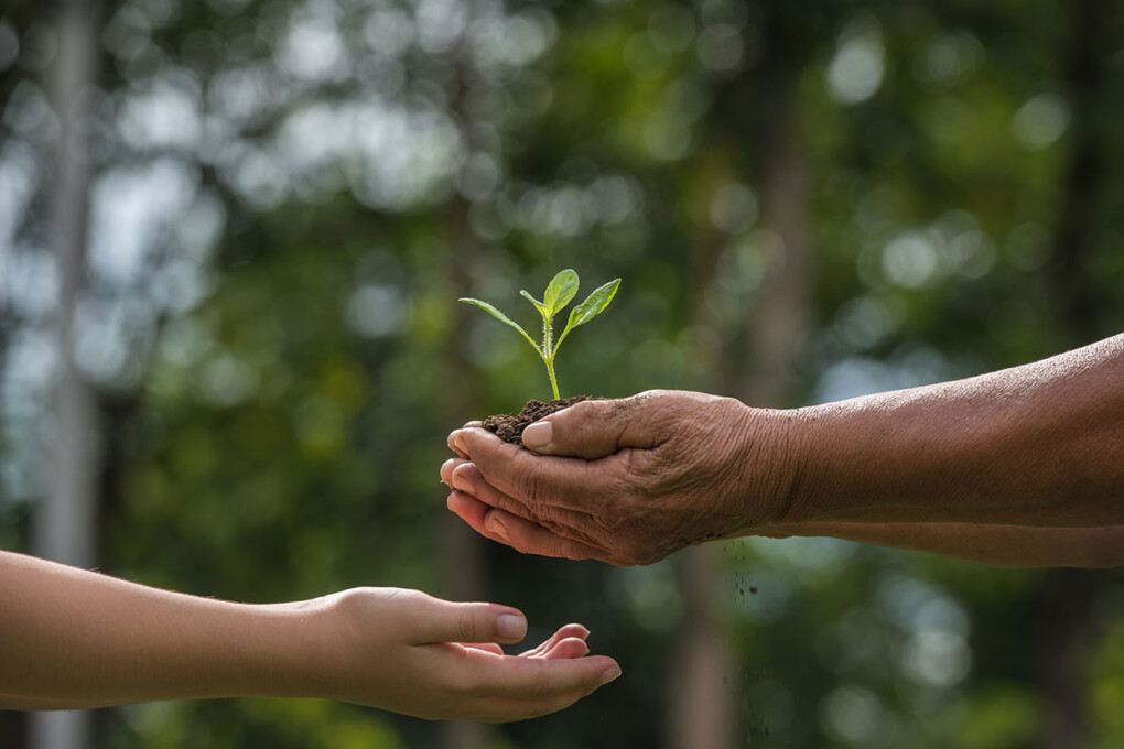 Nachfolge im Familienunternehmen: Zwischen Lebenswerk, Loslassen und nackten Zahlen – Kapitel 1