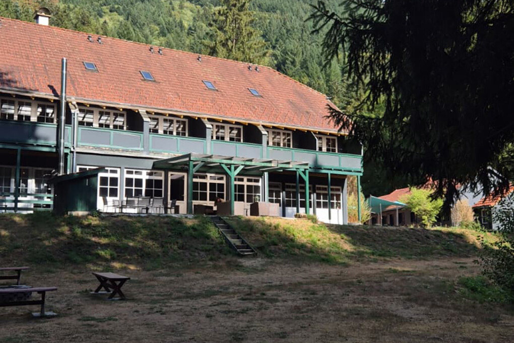 Unser Firmen-Retreat 2026 im Schwarzwald